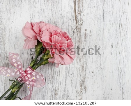 Pink carnation flower on white background. Blank space on wooden board.