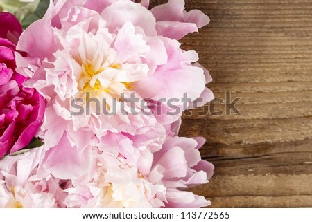 Stunning peonies on wooden background. Copy space.