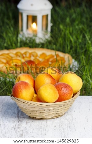Basket of apricots, summer garden party