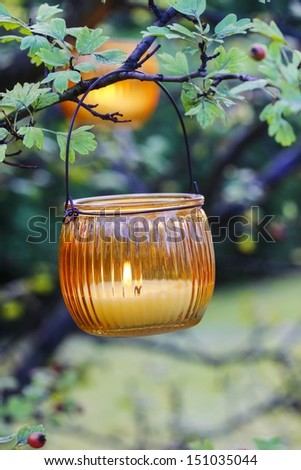 Orange lantern hanging on hawthorn branch. Garden party decor