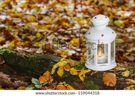 Beautiful lantern in autumn forest