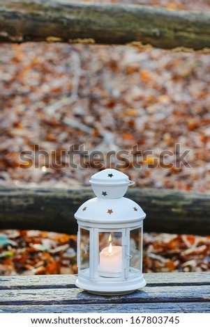 Beautiful lantern on wooden table in autumn forest