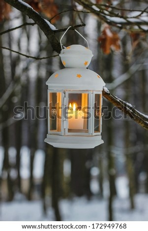 White lantern hanging on oak branch in forest. Beautiful winter evening