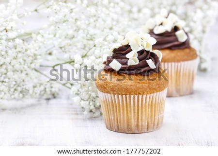 Chocolate cupcakes for wedding party. Baby\'s breath flower in the background