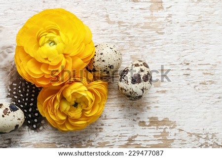 Yellow persian buttercup flowers (ranunculus) on wooden background. Copy space, your text here.