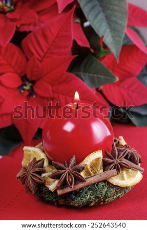 Christmas candle holder made of moss, dried fruits and cinnamon sticks