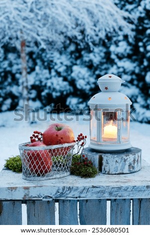 Similar – Image, Stock Photo Garden in winter Evening