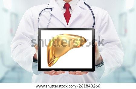 Doctor with stethoscope and golden  liver on the  hands in a hospital. High resolution.