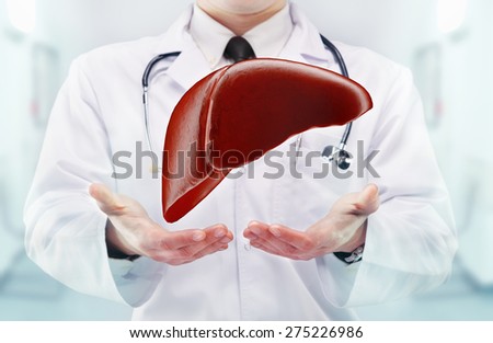 Doctor with stethoscope and liver on the  hands in a hospital. High resolution.