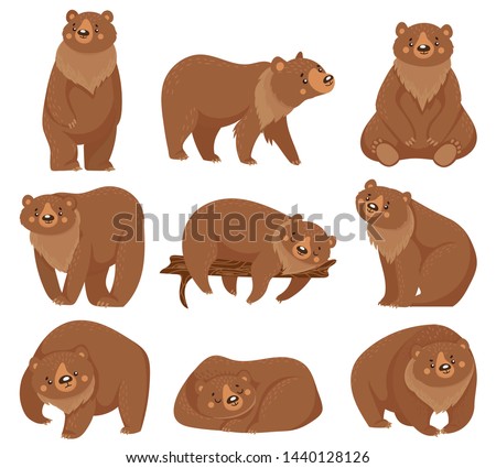 Cartoon brown bear. Grizzly bears, wild nature forest predator animals and sitting bear. Fur brown predator, wildlife bears mammal. Isolated vector illustration icons set