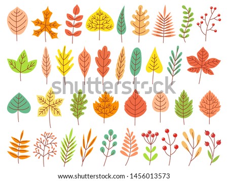 Autumn leaves. Yellow autumnal garden leaf, red fall leaf and fallen dry leaves. Botanical forest plants or september october tree foliage. Flat isolated vector symbols set