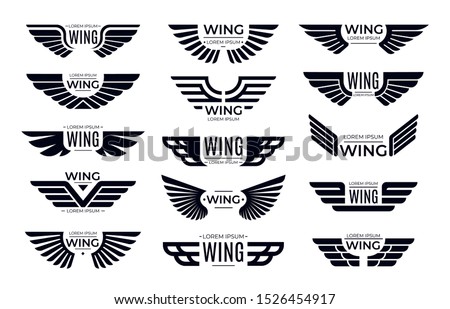 Wings badges. Flying emblem, eagle bird wing and winged frame. Aviation pilot patch badge, army insignia emblem or biker logotype sticker. Isolated vector icons set