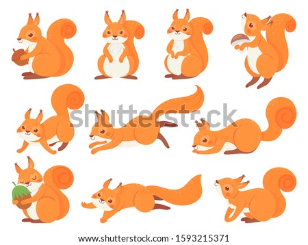 Cartoon squirrel. Cute squirrels with red furry tail, mammals animals and brown fur squirrel vector set. Adorable forest fauna, funny wildlife stickers collection. Happy cub illustrations pack