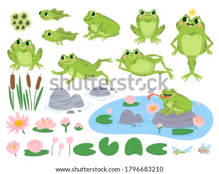 Cartoon frogs. Green cute frog, egg masses, tadpole and froglet. Aquatic plants water lily leaf, toads wild nature life vector set. Reed and flowers. Character on pond catching insect