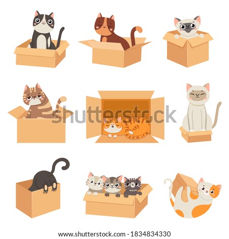 Cats in boxes. Cute stickers with cat sitting, sleeping and playing in cardboard box. Funny hiding kittens. Adopt homeless pet, vector set. Illustration animal kitten in box, feline cat pet