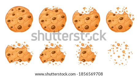 Bitten chocolate chip cookie. Crunch homemade brown biscuits broken with crumbs. Cartoon baked round choco cookies bite animation vector set. Illustration animation disappear choco crumb piece bakery