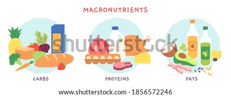 Food macronutrients. Fat, carbohydrate and protein foods groups with fruits and dairy products. Nutrient complex diet vector infographic. Illustration eating ingredient, grocery nutrition for cooking