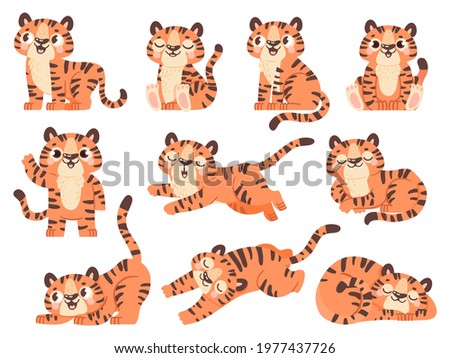 Cute baby tigers. Cartoon jungle animal for kids design. Tiger poses in sleep, sit, play and roar. 2022 new year symbol character vector set. Illustration tiger animal, cat jungle, wild mammal mascot