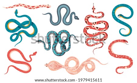 Mystic snakes. Boho magic poisonous snake with astrology symbols, floral, skeleton and abstract patterns. Esoteric serpent tattoo vector set. Illustration dangerous exotic snake, rattlesnake and cobra