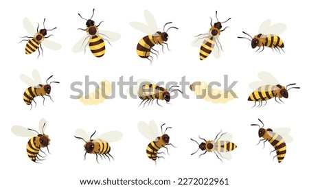 Honey bee bug. Winged buzz flying insect, striped bumblebee wasp with sting, beekeeping mead gathering honeycraft concept. Vector cartoon set of buzz insect and bee illustration