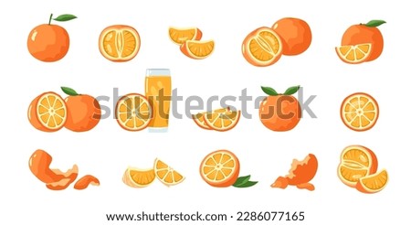 Orange fruit. Tropical tangerine and clementine slices, healthy whole mandarin and tangerine pieces and skin cartoon flat collection. Vector isolated set of tangerine fruit clementine illustration