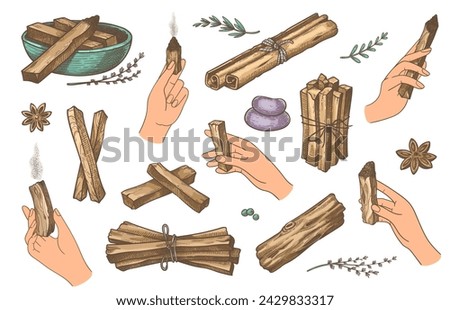 Hands with palo santo sticks. Palm holding wooden fragrant sticks for aroma therapy and meditations. Vector hand drawn mystic healing and relaxation sticks of wood natural hand drawn illustration