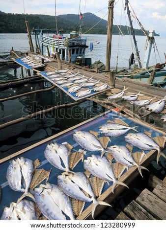 Drying fish on the pier fishing village in Thailand