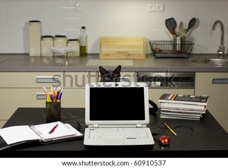 A cat in a home office - peeping behind a laptop screen on a desk with stationery equipment and books, kitchen in the background.