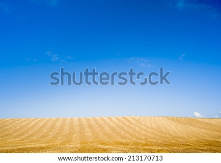 Crop fields in summer and blue sky with clouds
