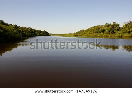 Rain forest mirrored in waters, on Rio Negro in the Amazon River basin, Brazil, South America