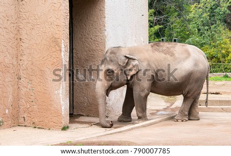 Similar – Image, Stock Photo Large zoo Berlin City