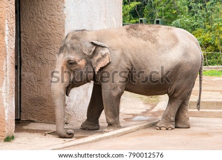 Similar – Image, Stock Photo Large zoo Berlin City