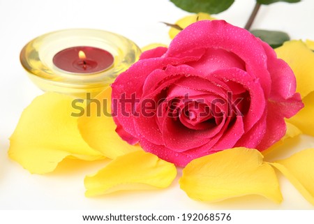 Pink rose and burning candle
