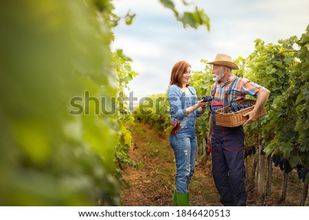Similar – Image, Stock Photo Winegrower and daughter with bucket of grapes in countryside