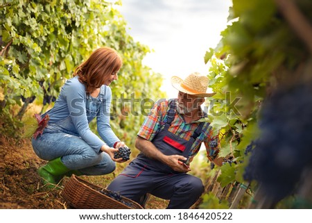 Similar – Image, Stock Photo Winegrower and daughter with bucket of grapes in countryside