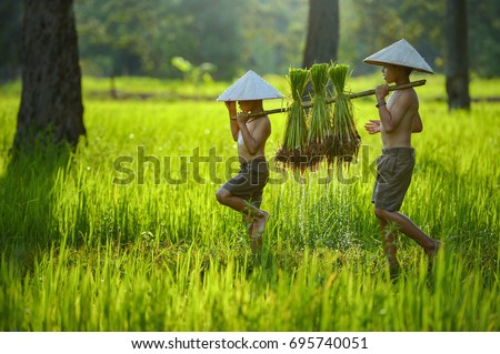 Similar – Foto Bild Ein vietnamesischer Reisbauer auf einem grünen Reisfeld bei der Arbeit