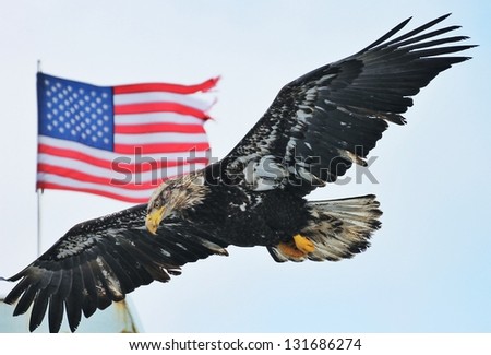 Young Eagle and flag