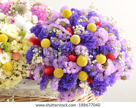 Image, Stock Photo Craspedia globosa dry flowers