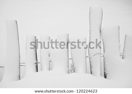 BAR-CODE. an old fence under the weight of the snow. Salaj County, Romania.