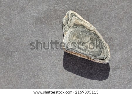 Similar – Image, Stock Photo A nice peeble with a harsh sun shadow on a gray backdrop