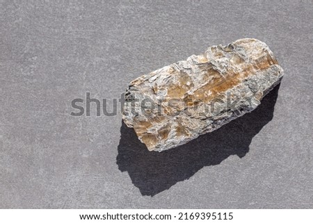 Similar – Image, Stock Photo A nice peeble with a harsh sun shadow on a gray backdrop