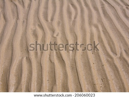 Wave line pattern in beach sand