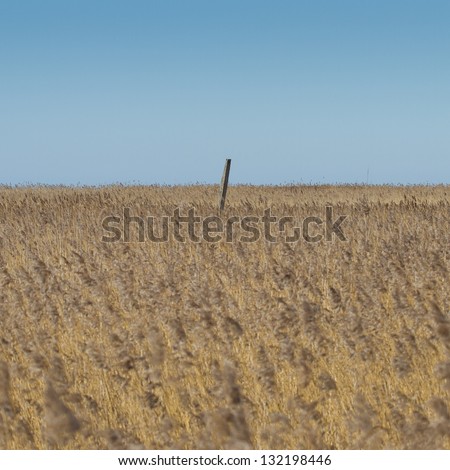 Lonely concrete post standing in the middle of the deep grass field. Main subject in focus.