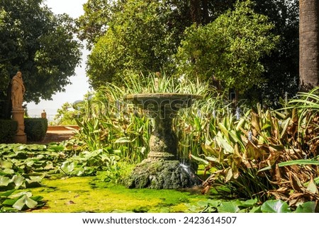 Similar – Foto Bild Wasser gefüllter Teich mit Schilfgras, Schilfrohr Gräsern in Art einer Weitwinkelaufnahme als Beispiel der Schönheit der Natur in ihren Farben und Formen mit Himmel