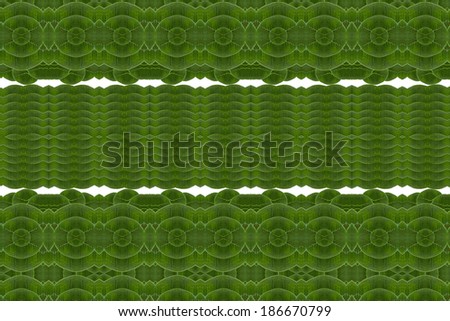 Pattern of leaves. ( art from nature ) part G