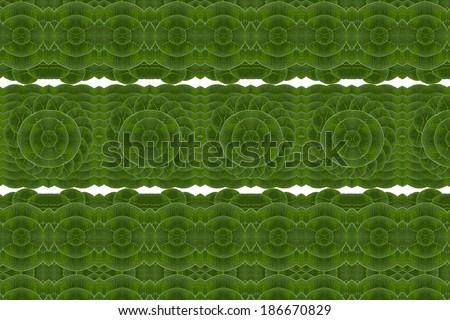 Pattern of leaves. ( art from nature ) part F