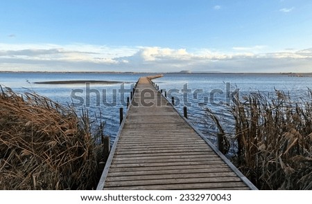 Similar – Image, Stock Photo Forest lake with groynes