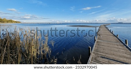 Similar – Image, Stock Photo Forest lake with groynes