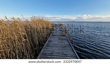 Similar – Image, Stock Photo Forest lake with groynes