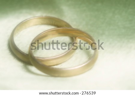 closeup of wedding bands on green background